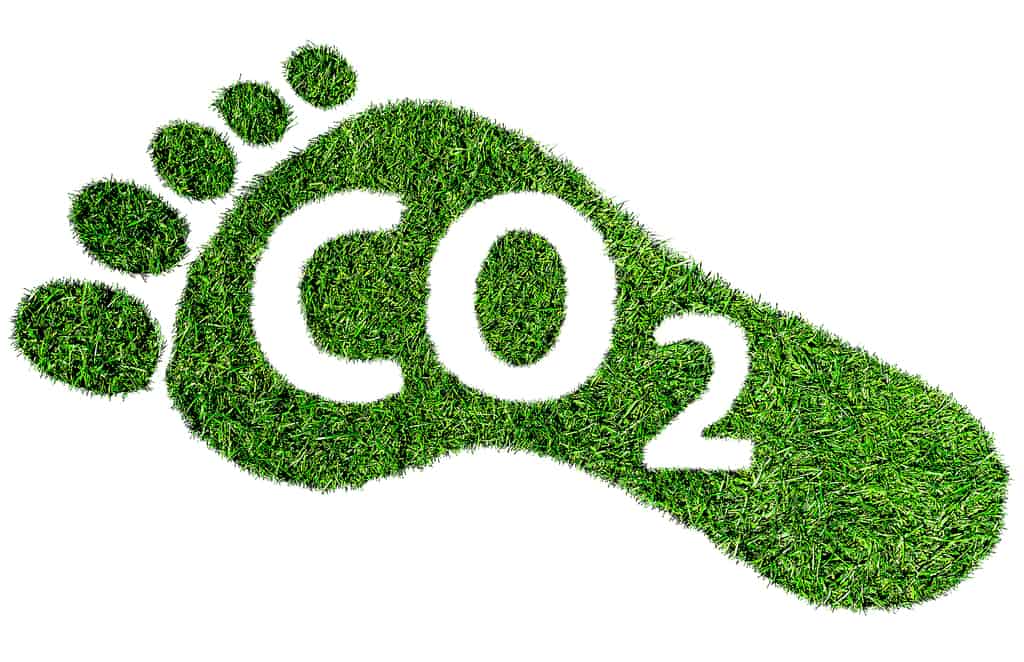 Carbon Footprint Symbol Or Concept, Barefoot Footprint Made Of L